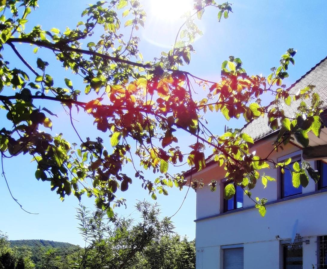 Ferienwohnung Albstadt Panorama Bagian luar foto